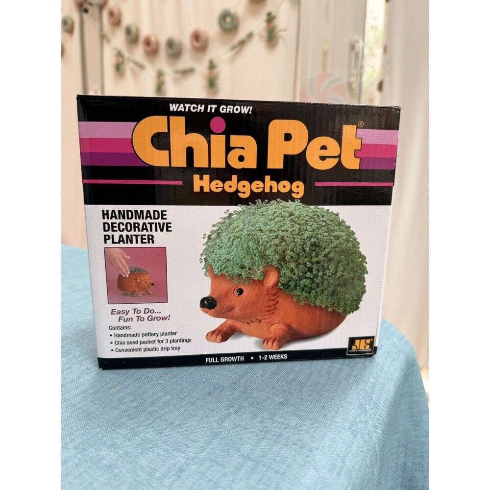 Chia Pet Hedgehog Decorative Pottery Planter with Seed Pack, Terra Cotta, NEW